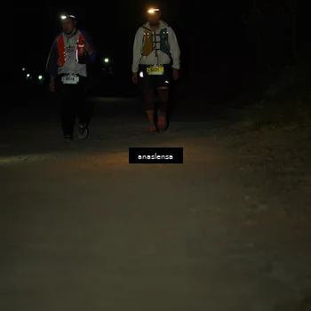 Runner Photo 5234558