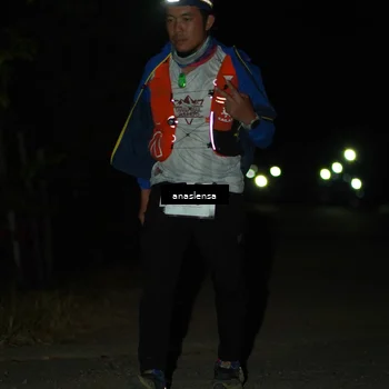 Runner Photo 5234559