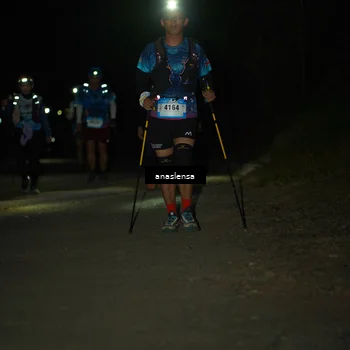 Runner Photo 5234605