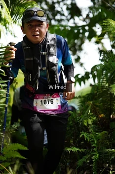 Runner Photo 5234669