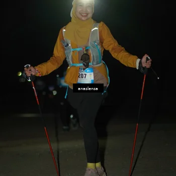 Runner Photo 5234704
