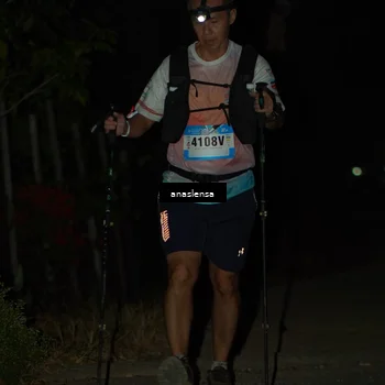 Runner Photo 5234739