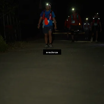Runner Photo 5234819