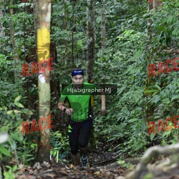Runner Photo 523487