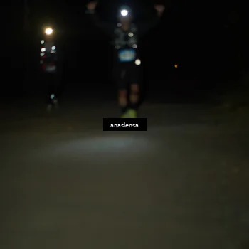 Runner Photo 5234897