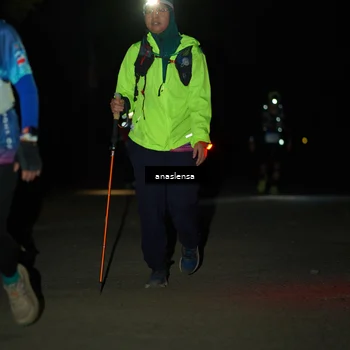 Runner Photo 5234907