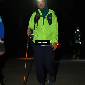 Runner Photo 5234911