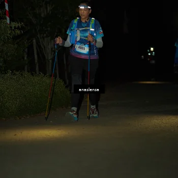 Runner Photo 5234933