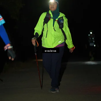 Runner Photo 5234934