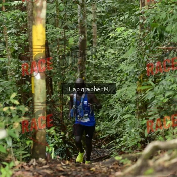 Runner Photo 523495
