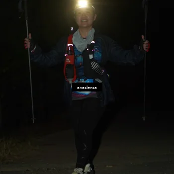 Runner Photo 5234983