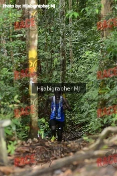 Runner Photo 523500
