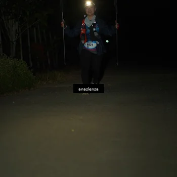 Runner Photo 5235032