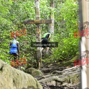 Runner Photo 523509
