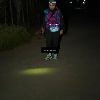 Runner Photo 5235191