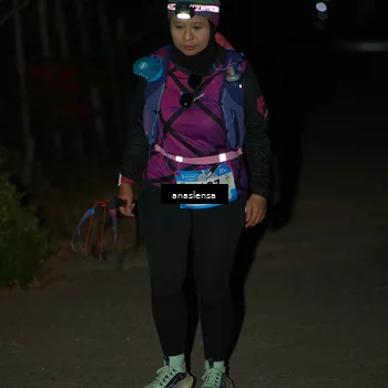 Runner Photo 5235194