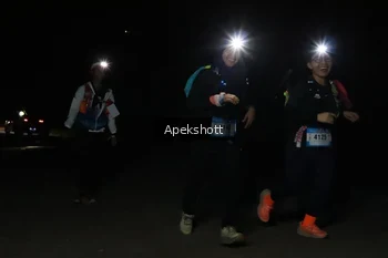 Runner Photo 5235260