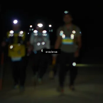 Runner Photo 5235305