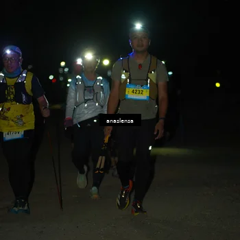 Runner Photo 5235329