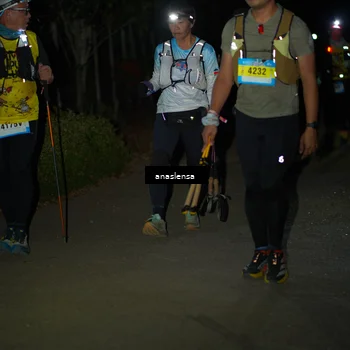 Runner Photo 5235342