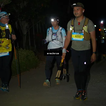 Runner Photo 5235345
