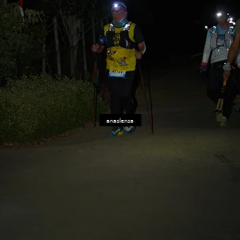 Runner Photo 5235352