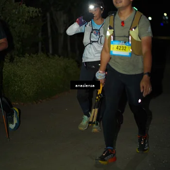 Runner Photo 5235355