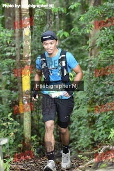Runner Photo 523539