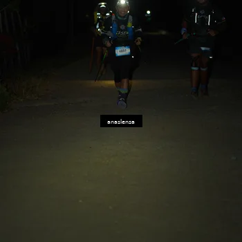 Runner Photo 5235466