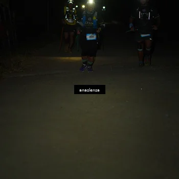 Runner Photo 5235470
