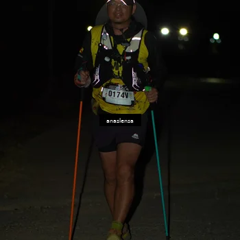 Runner Photo 5235486