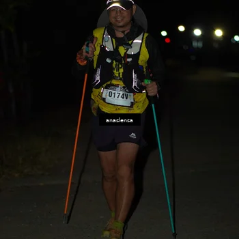 Runner Photo 5235531
