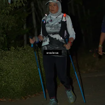 Runner Photo 5235605