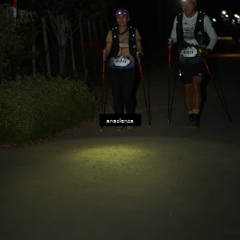 Runner Photo 5235946