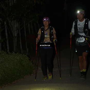 Runner Photo 5235948