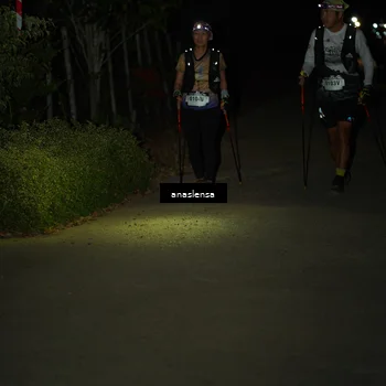 Runner Photo 5235964