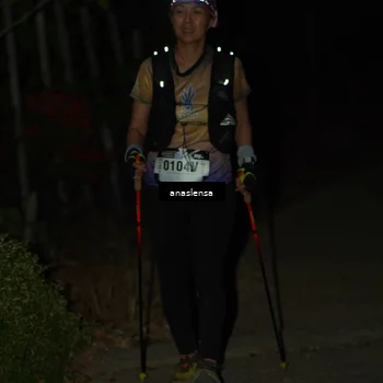 Runner Photo 5235965