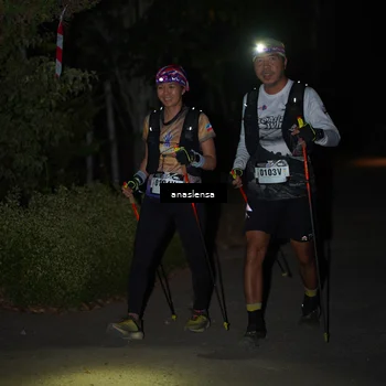 Runner Photo 5235993