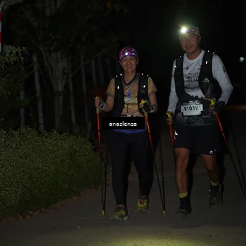 Runner Photo 5235995
