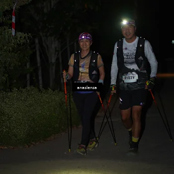 Runner Photo 5235996