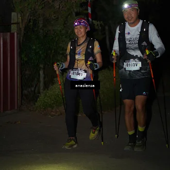 Runner Photo 5236018