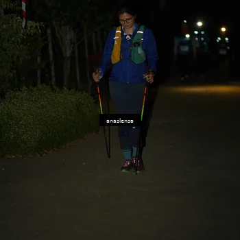 Runner Photo 5236090