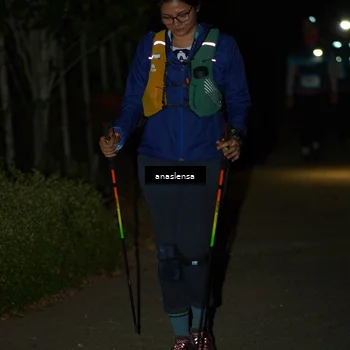 Runner Photo 5236093