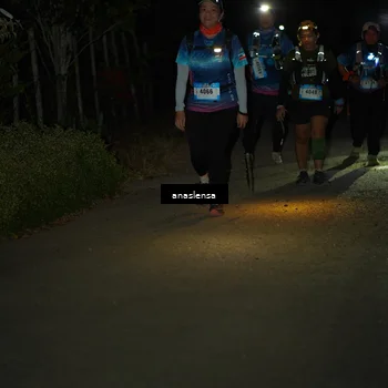 Runner Photo 5236096