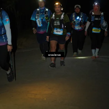 Runner Photo 5236141