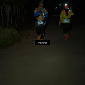 Runner Photo 5236256