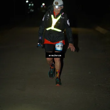 Runner Photo 5236267