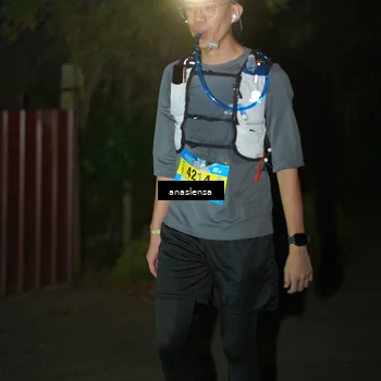 Runner Photo 5236270