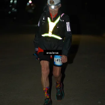 Runner Photo 5236293