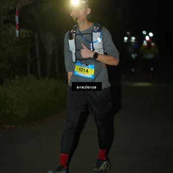 Runner Photo 5236294